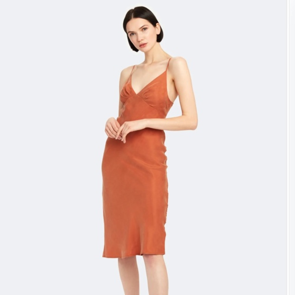 Keepsake Midi Dress In Rust - Picture 7 of 12